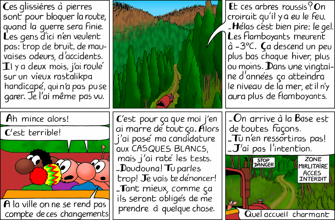 Les effets du changement climatique: les forêts de flamboyants meurent!